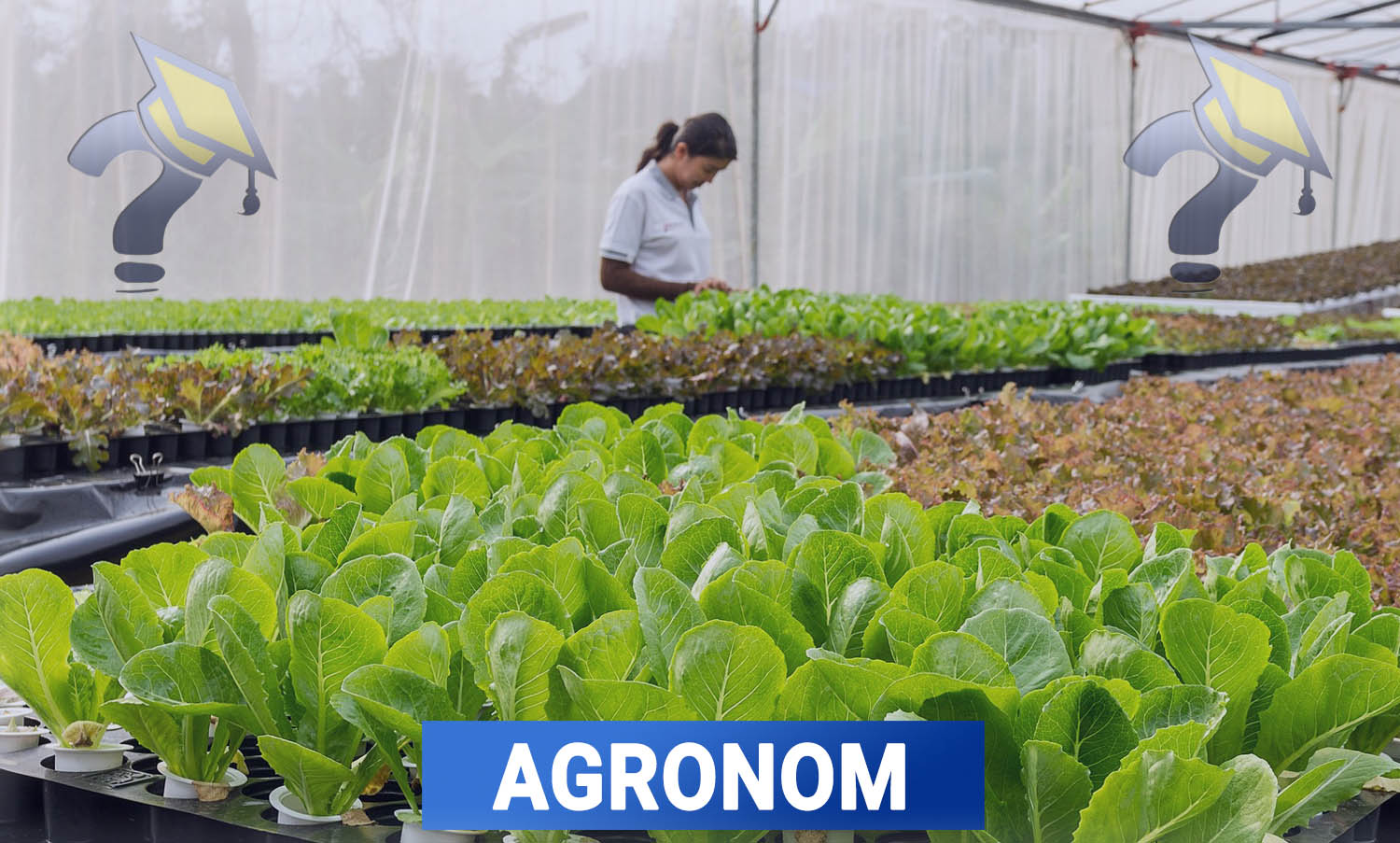 Utbildning i Agronom