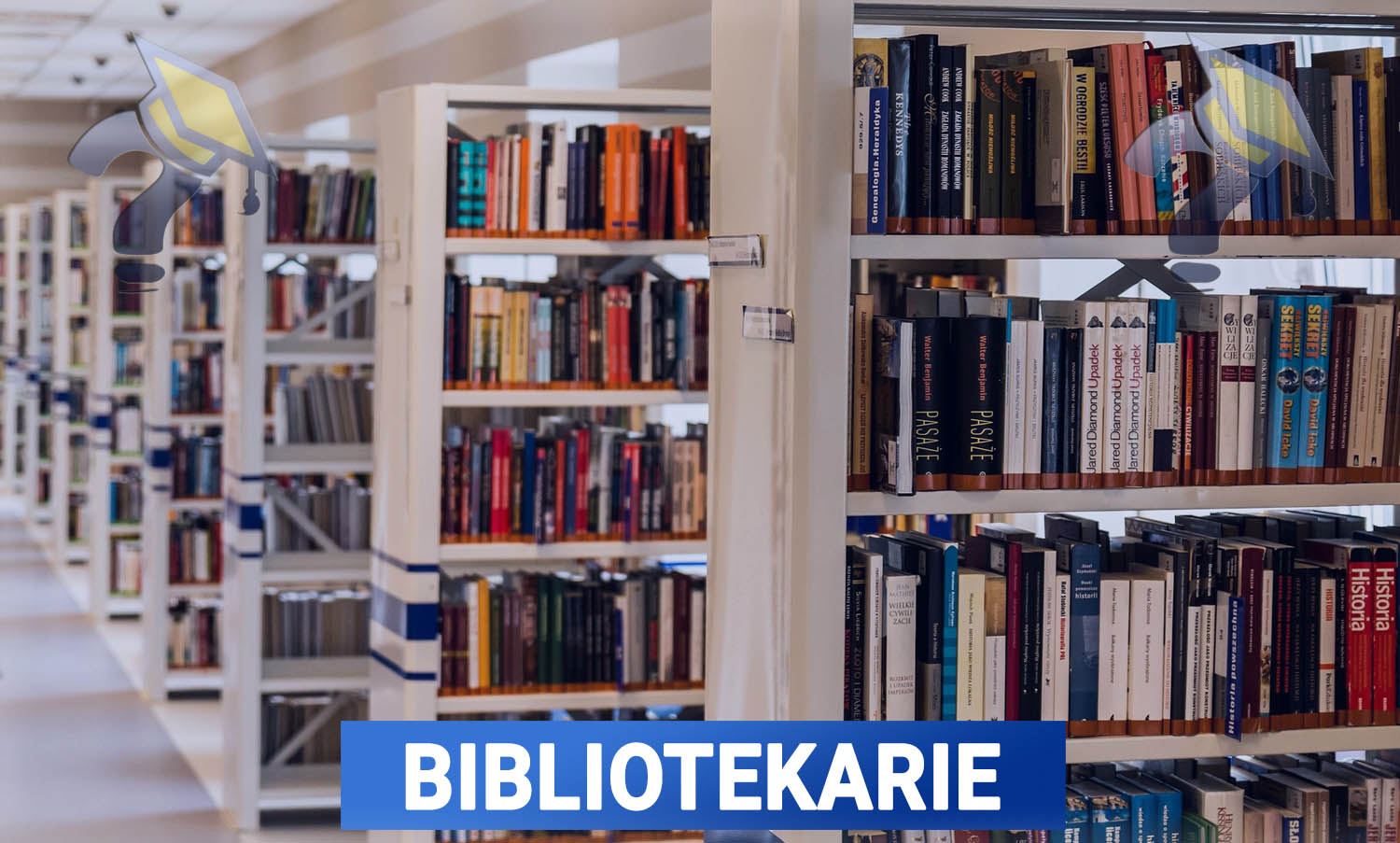 Utbildning i Bibliotekarie