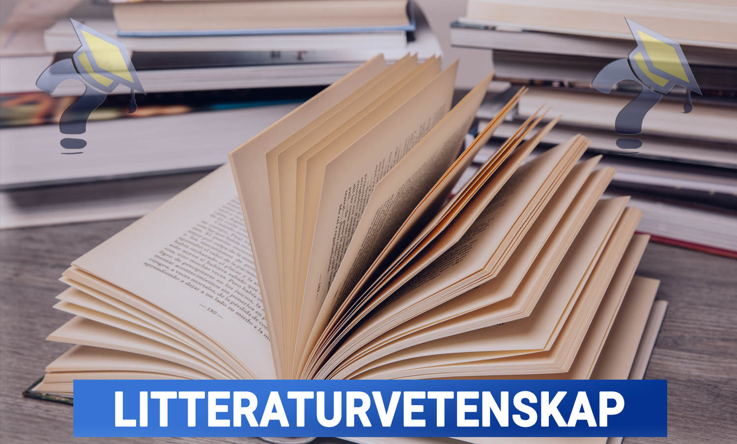 Utbildning i Litteraturvetenskap