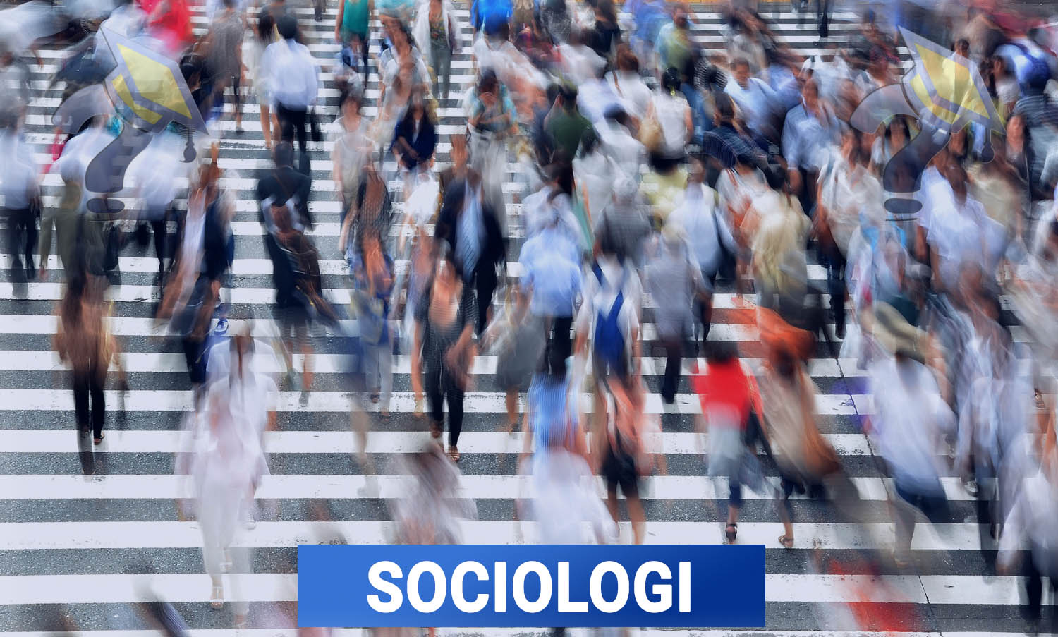 Utbildning i Sociologi