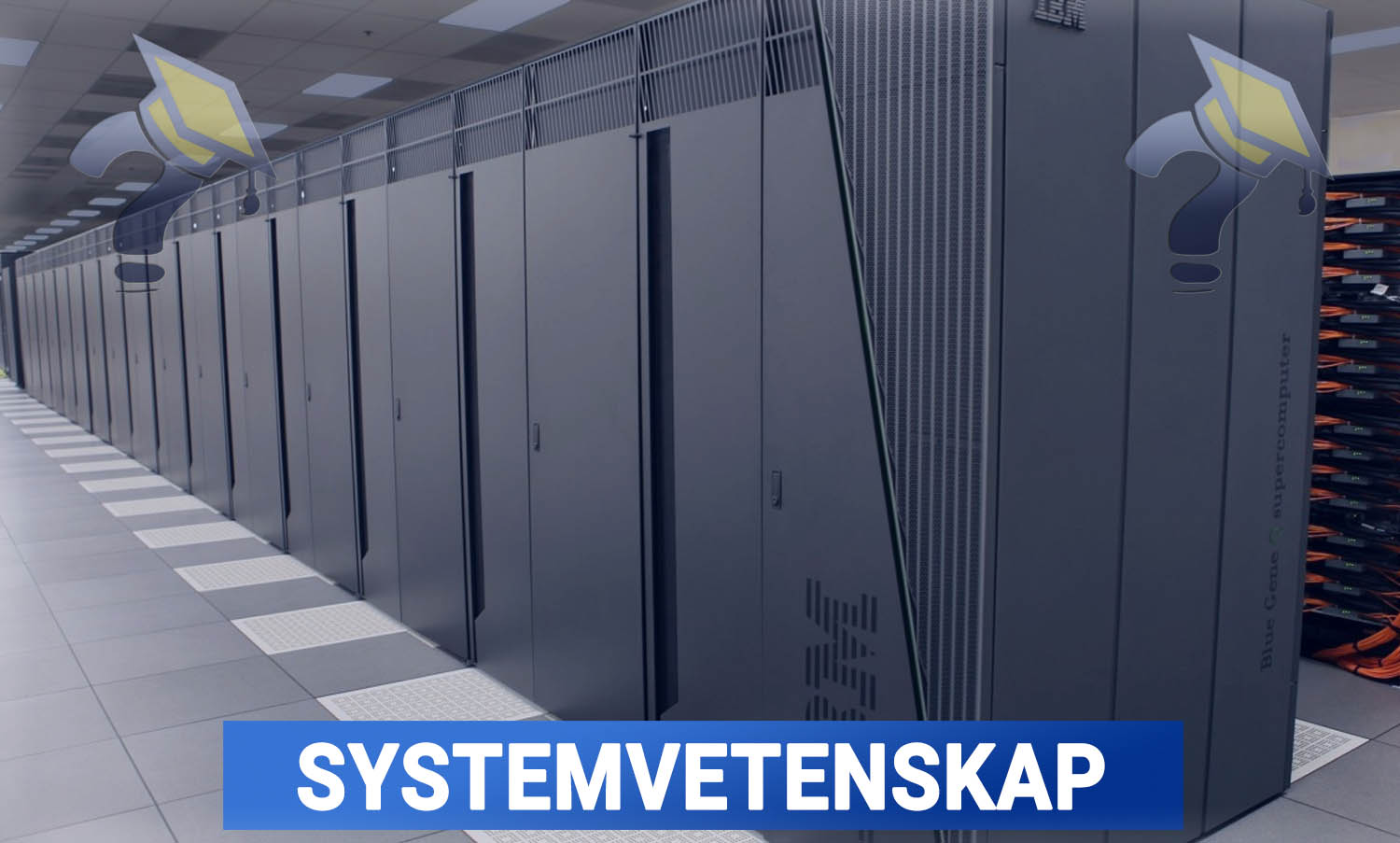 Utbildning i Systemvetenskap