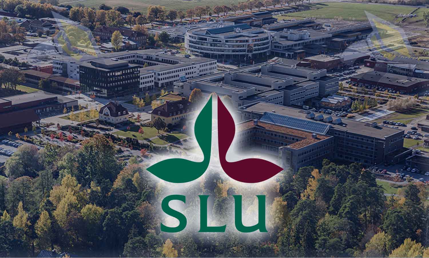 Sveriges lantbruksuniversitet